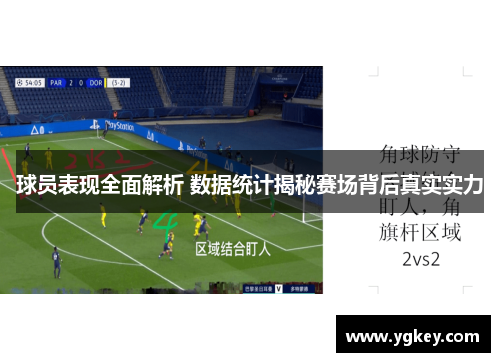 球员表现全面解析 数据统计揭秘赛场背后真实实力