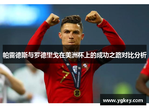 帕雷德斯与罗德里戈在美洲杯上的成功之路对比分析