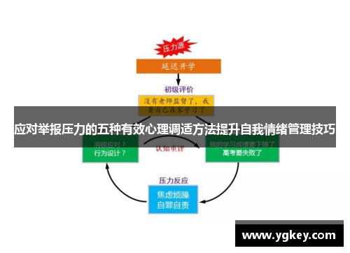 应对举报压力的五种有效心理调适方法提升自我情绪管理技巧
