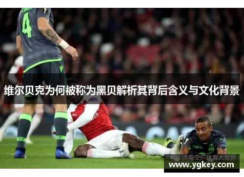 维尔贝克为何被称为黑贝解析其背后含义与文化背景